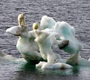 Degelo 1